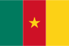 Flag of Cameroon